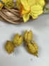 Kép 3/4 - Díszítsd magad! Nárciszimádat - 33 darabos natúr vesszőkoszorúra készülő pillangós, DIY kopogtató