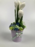Kép 1/4 - Pasztell lila cinkvödörben, mohaalapon nyugvó, szezonon át viruló, fehér selyemkrókuszos tartós asztaldísz