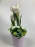 Kép 4/4 - Pasztell lila cinkvödörben, mohaalapon nyugvó, szezonon át viruló, fehér selyemkrókuszos tartós asztaldísz