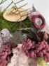 Kép 2/4 - Mályva - termésekkel s egyéb növényi részekkel díszített, "Hiányzol" feliratú mohakoszorú 