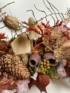 Kép 4/4 - Őszi rét makkon fülelő mókuskával