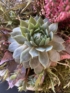 Kép 3/4 - Iringós, kövirózsás, ledmécseses, faangyalkás kegyeleti virágdísz mohaágyon